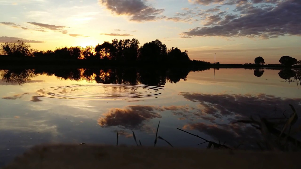 Завидово национальный парк Завидово национальный парк